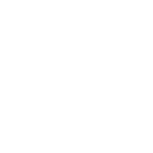 Professional Service Center