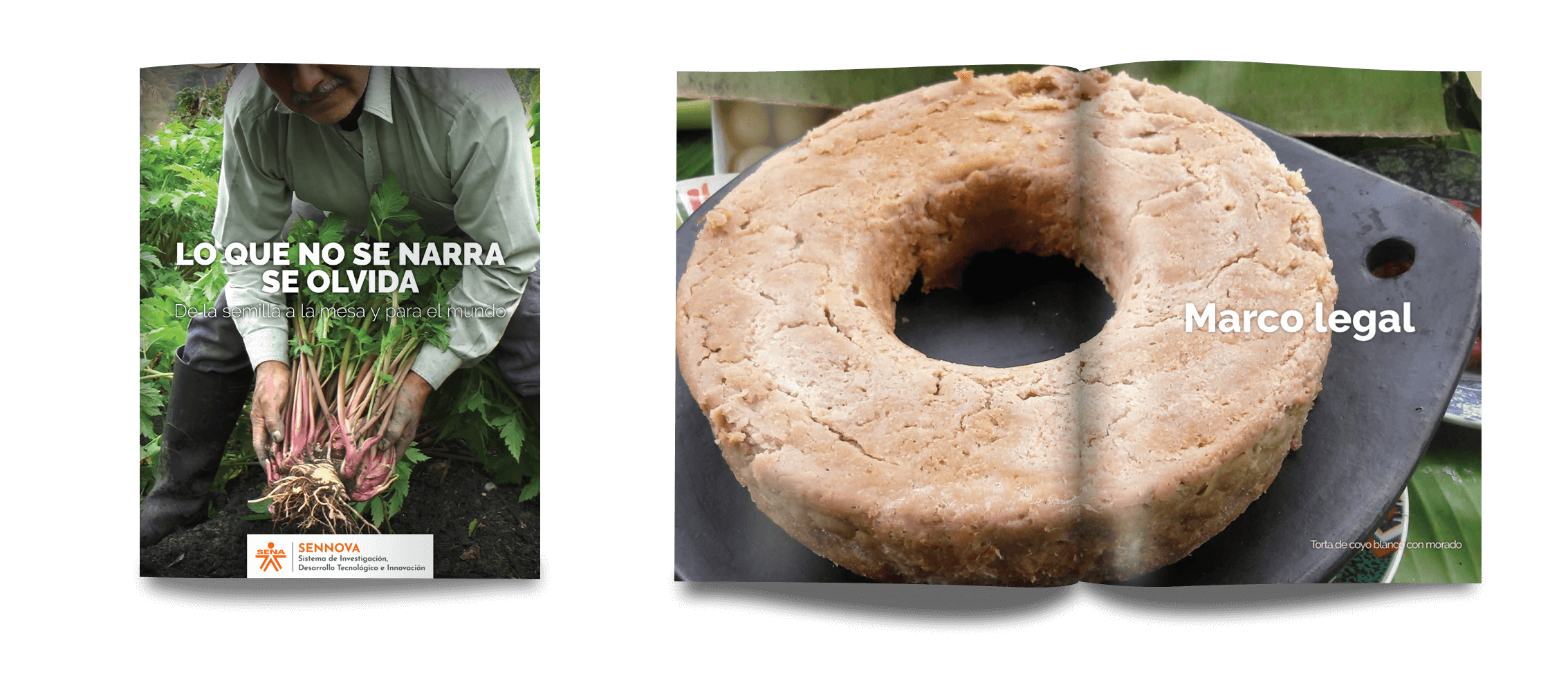 Lo que no se narra se olvida