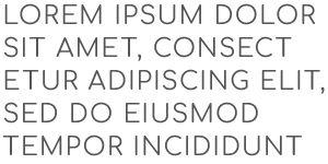 Alejandra Holguín Arquitectos