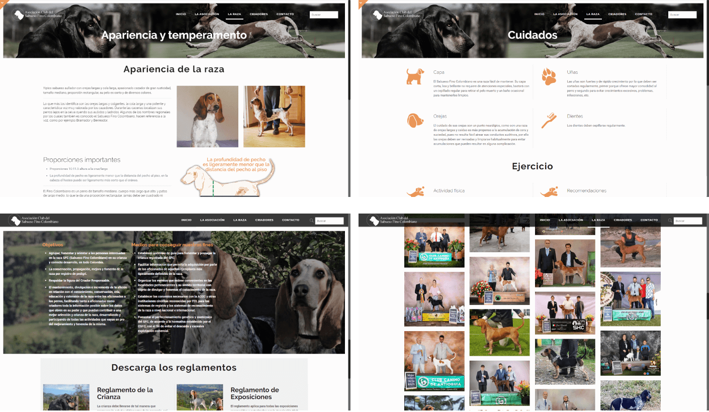 Sabueso Fino Colombiano