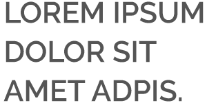 Sabueso Fino Colombiano