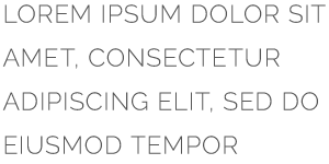 Sabueso Fino Colombiano